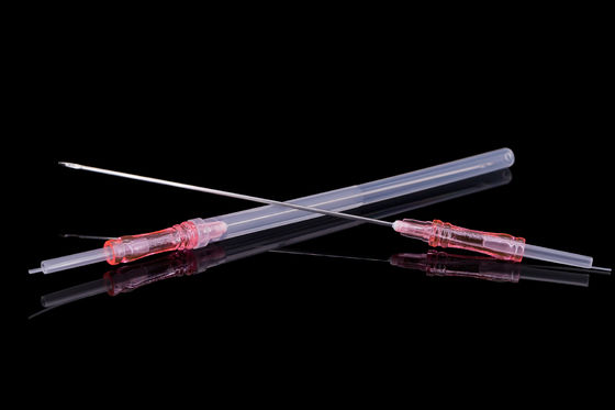 Ascensore del filo del dente di Fiona PCL con la cannula di Blant