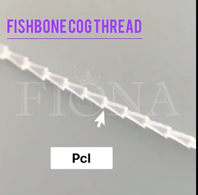Il filo del dente del modanatura del Fishbone di PDO PCL per il controllo del fronte arma il sollevamento