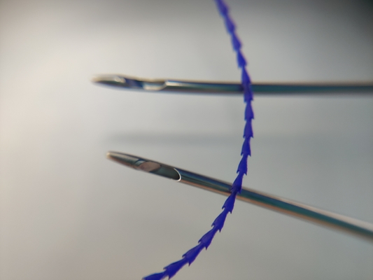 Ancora/squalo assorbibili del filo del dente del modanatura di PDO PCL PLACL