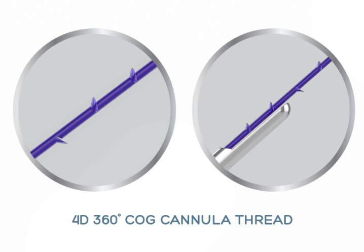 Il filo di Cannulla del DENTE di PDO PCL PLLA 4D solleva 19G-100mm per lifting facciale non chirurgico